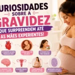 curiosidades sobre a gravidez 800x533 1