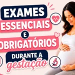 Exames Essenciais e Obrigatórios Durante a Gestação 3 exames gestacao